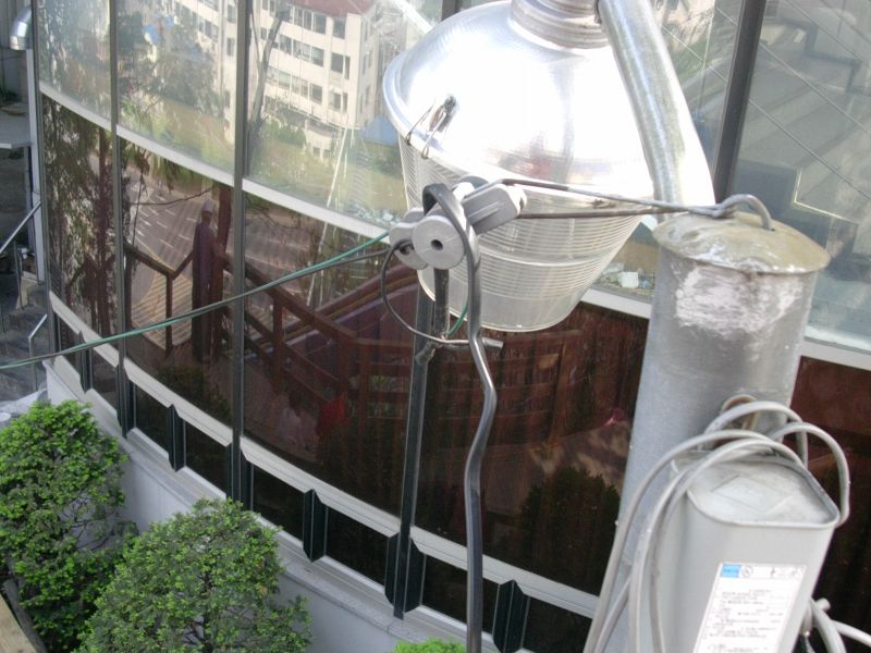 gal/Korea/Nam San Park (Korea)/Nam San Park (Korea)/DSCN3158.JPG